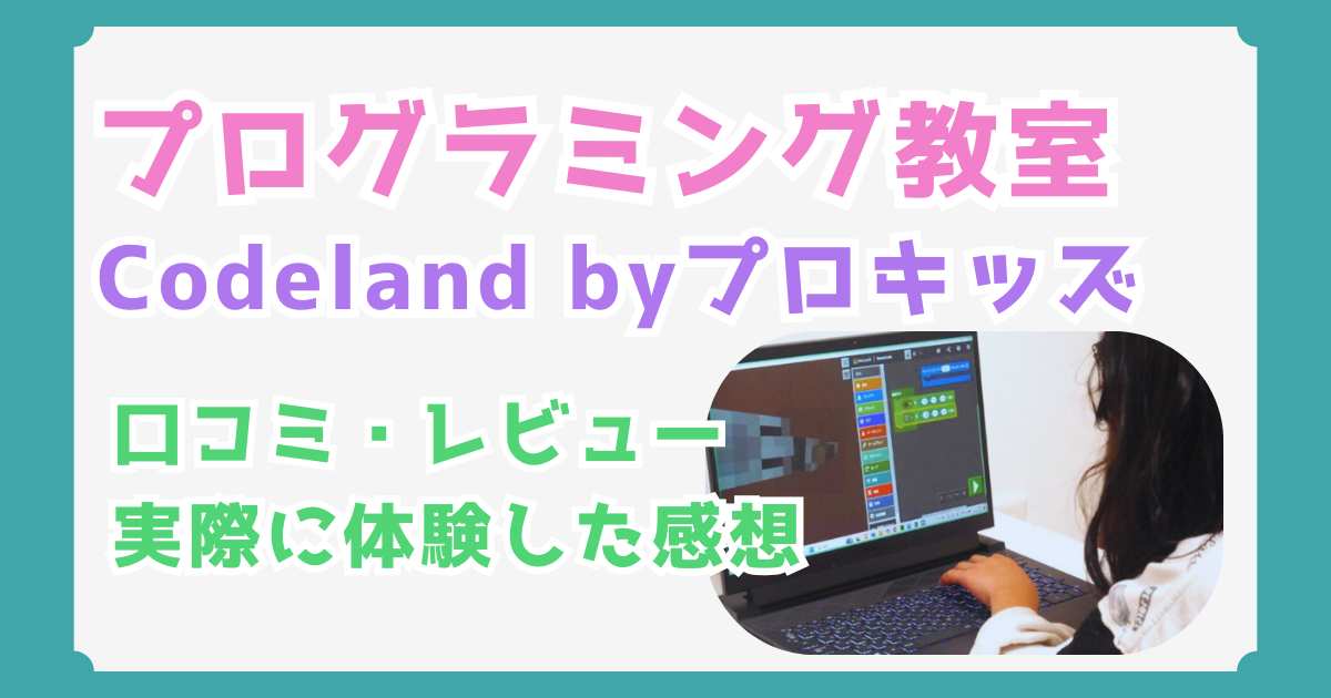 Codeland（コードランド）byプロキッズはどう？小2が体験した正直な口コミと感想